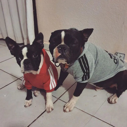 Winter Adidog Sport Hoodies: Cozy Pet Apparel for Dogs and Cats