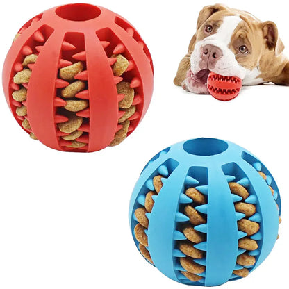 Interactive rubber ball toy for small dogs