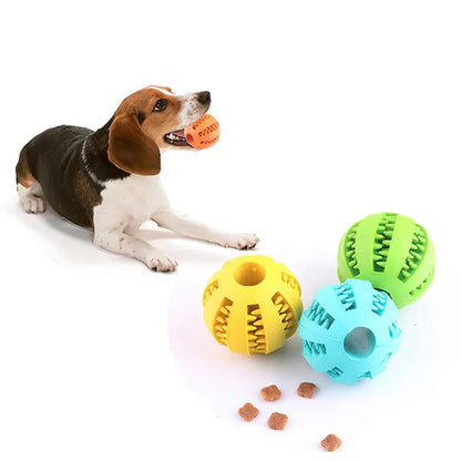 Interactive rubber ball toy for small dogs