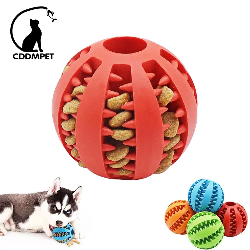 Interactive rubber ball toy for small dogs