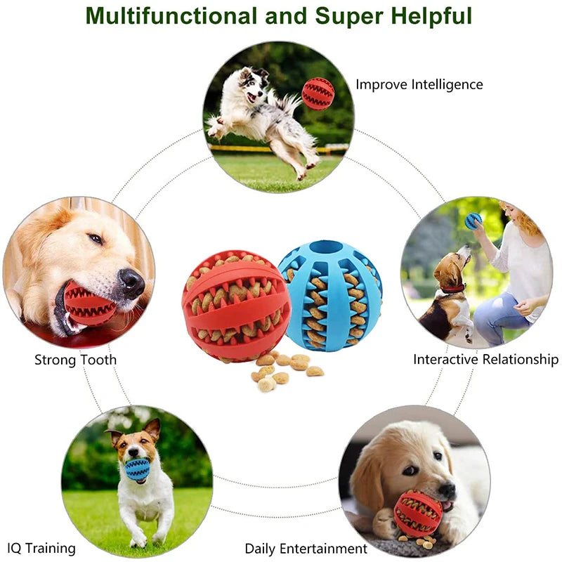 Interactive rubber ball toy for small dogs